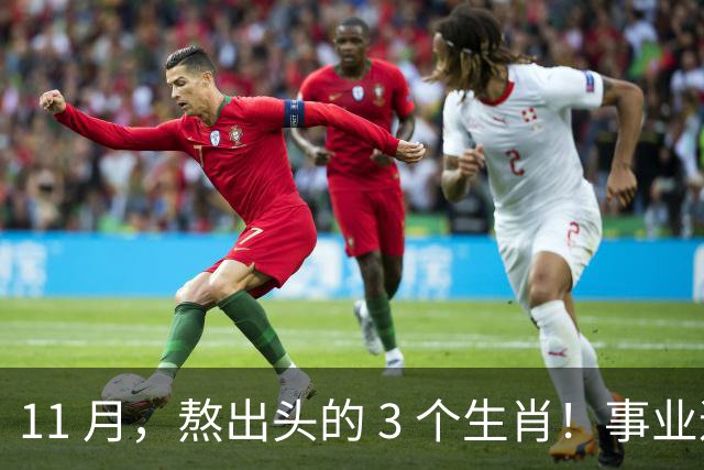 11 月，熬出头的 3 个生肖！事业逐步走高，辛苦付出开始变现